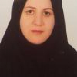 Seyede Shahrbanoo Daniali