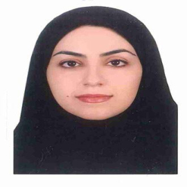 Dr.Somayeh Haghighipour