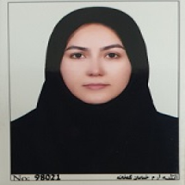 Razieh Javaherirenani