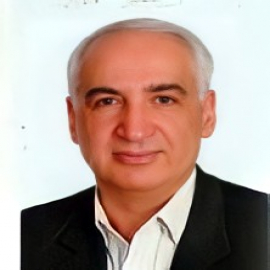 Prof. Mansoor Salehi