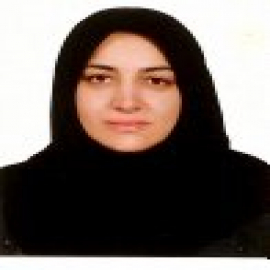 shiva mortazavi
