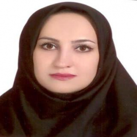 Somayeh Shirazinejad