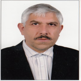 Dr Hassan Sadraei