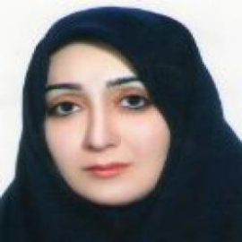 m_mortazavi
