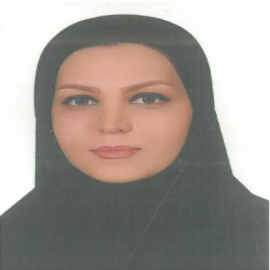 Andisheh amini