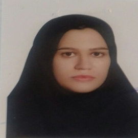 Narges Hashemi