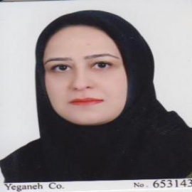 Rokhsareh Meamar