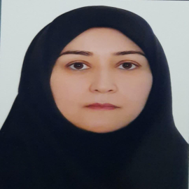 Shervin Ghaffari Hoseini