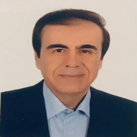 Alireza Merrikhi