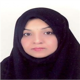 Nosrat Nourbakhsh