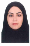 Dr.Somayeh Haghighipour