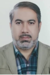 shafizadeh. hamid