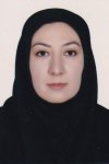 Shadan Saberi