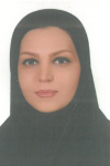 Andisheh amini