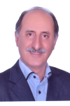 Morteza Pourahmad