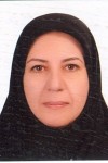 Farkhondeh Poursina