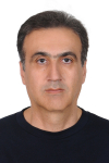 Ramin Iranpour
