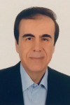 Alireza Merrikhi